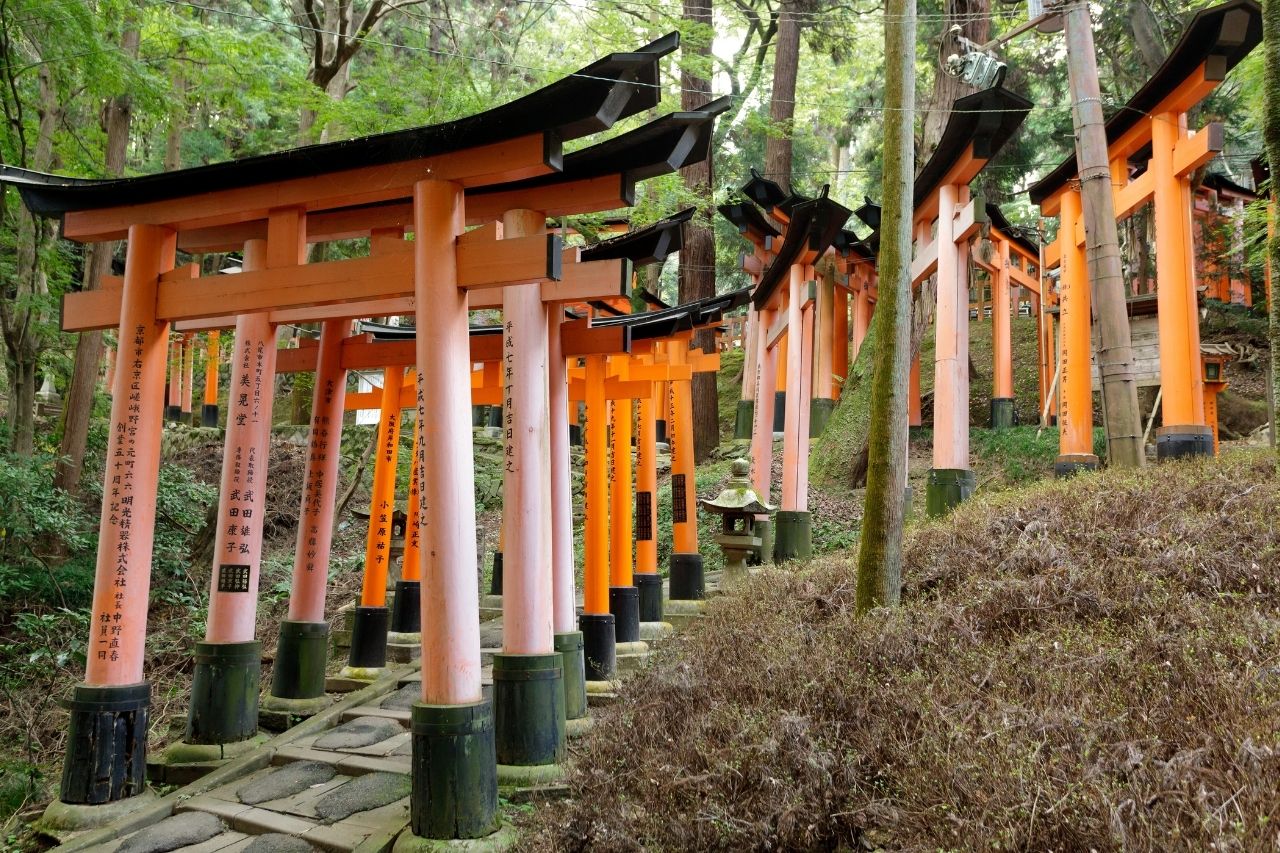 Der Weg zum Tempel des Inari