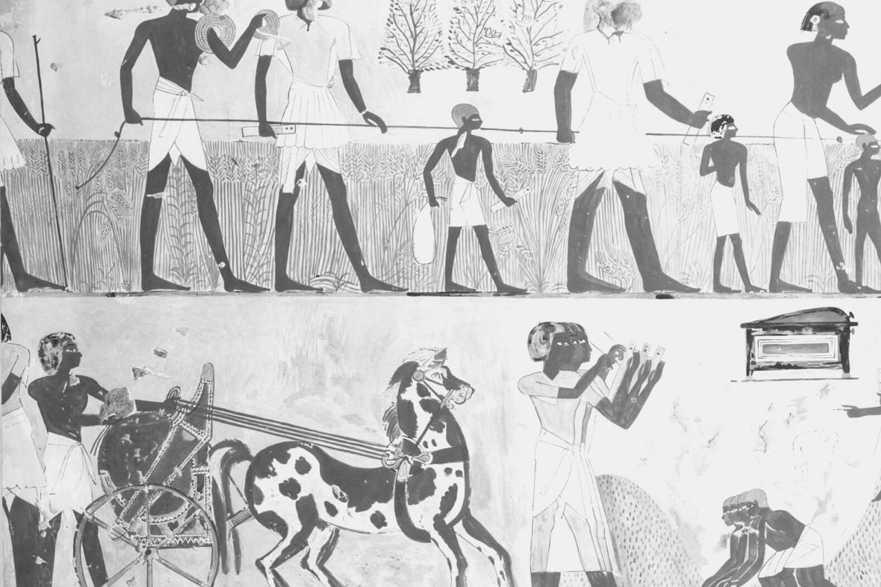 Pferde im alten Ägypten: Wie sie Bedeutung erlangten