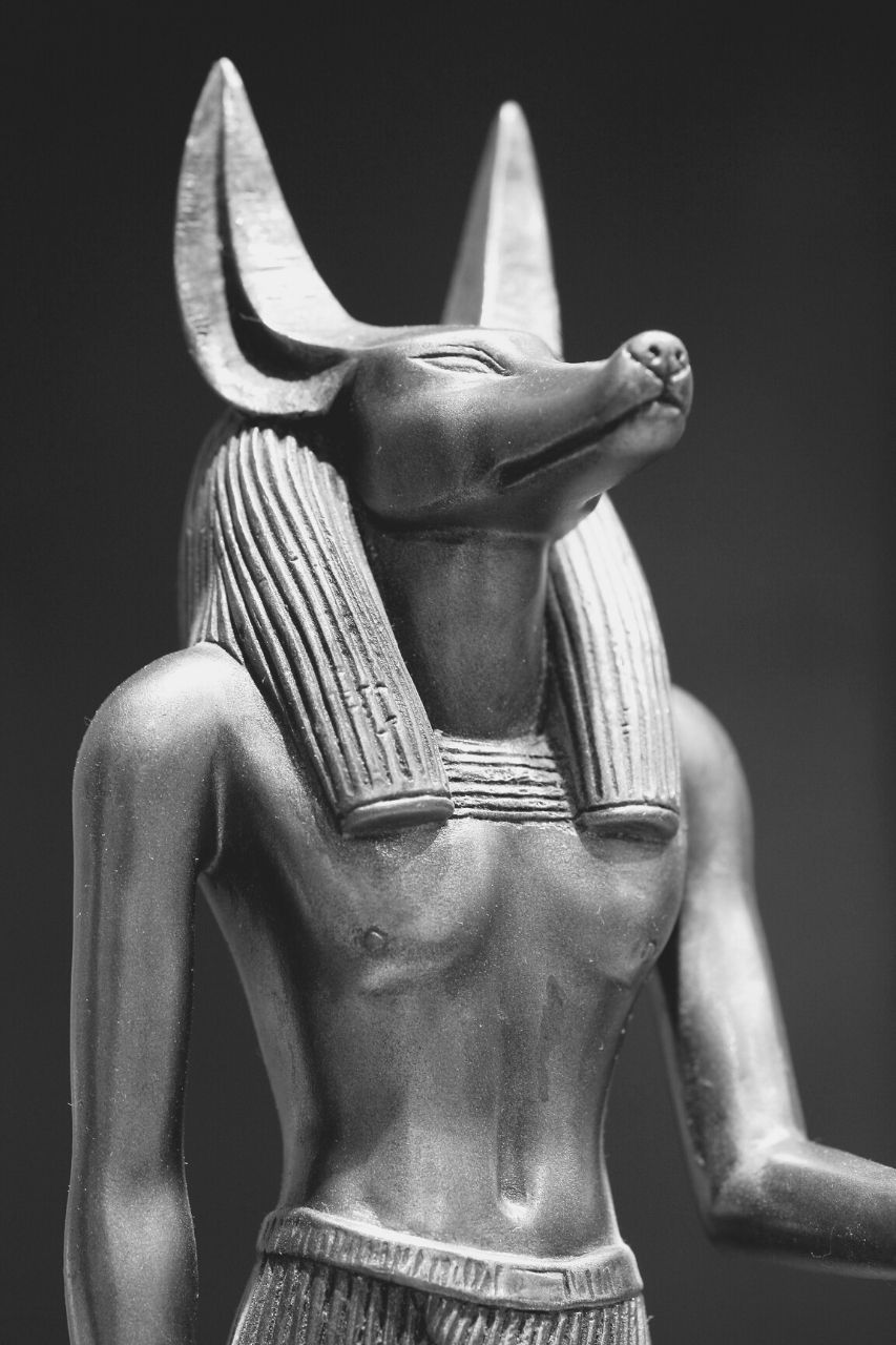 Anubis