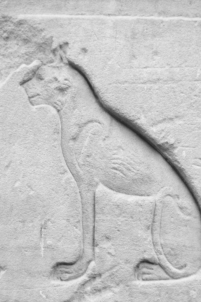 Cat ancient Egypt