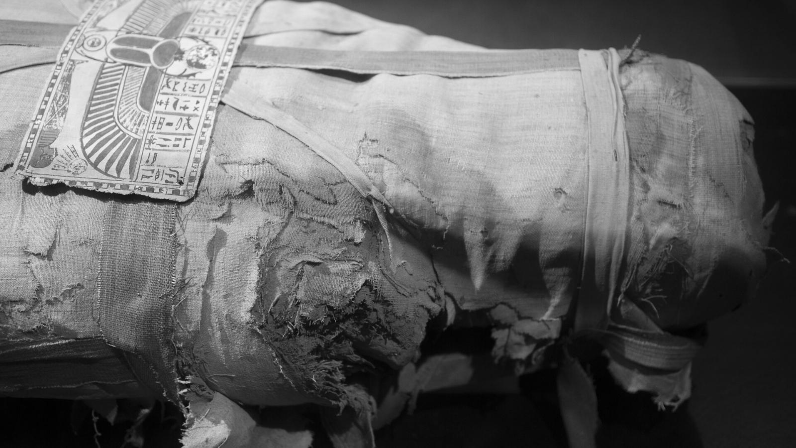Close-up of Egyptian mummy