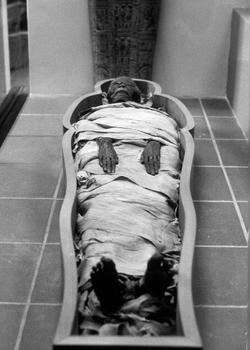 Egyptian mummy in wrappings