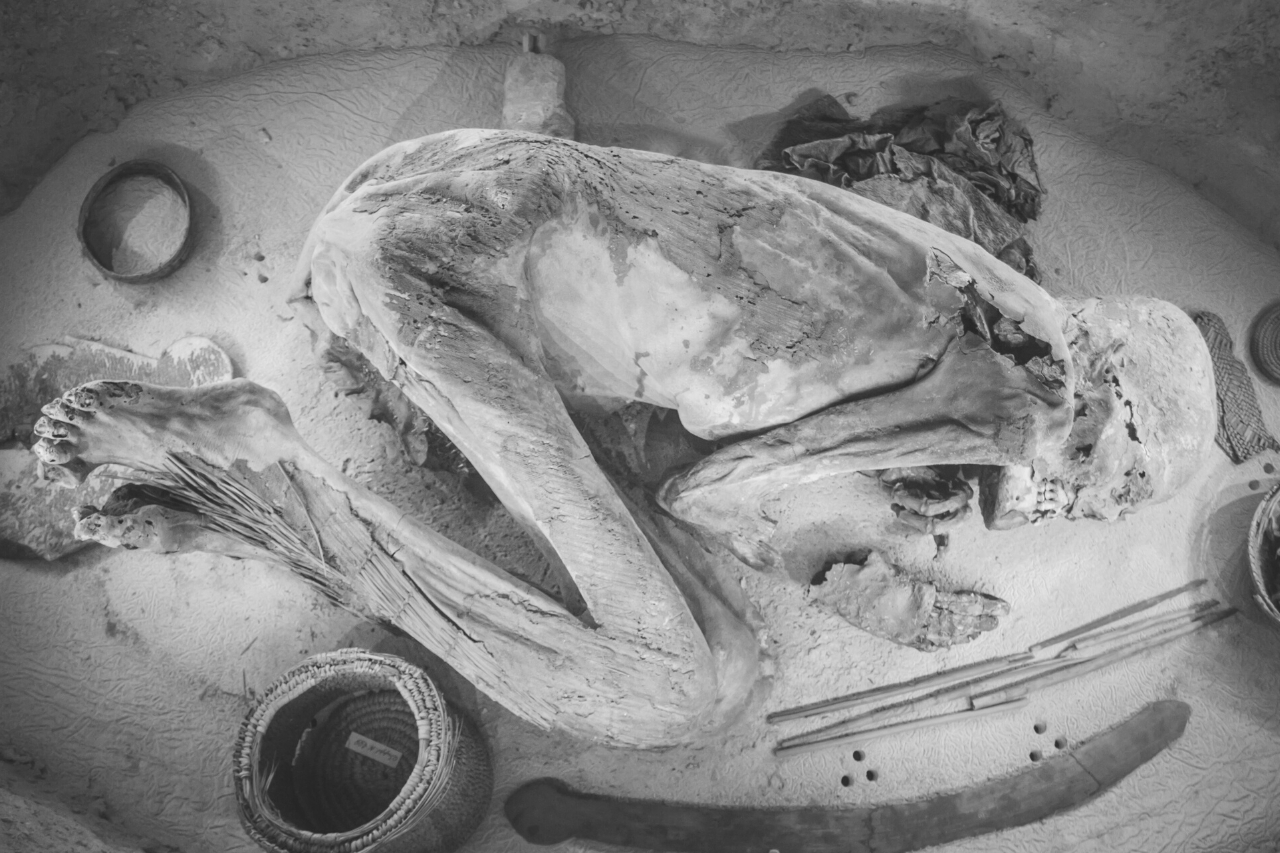 Egyptian mummy