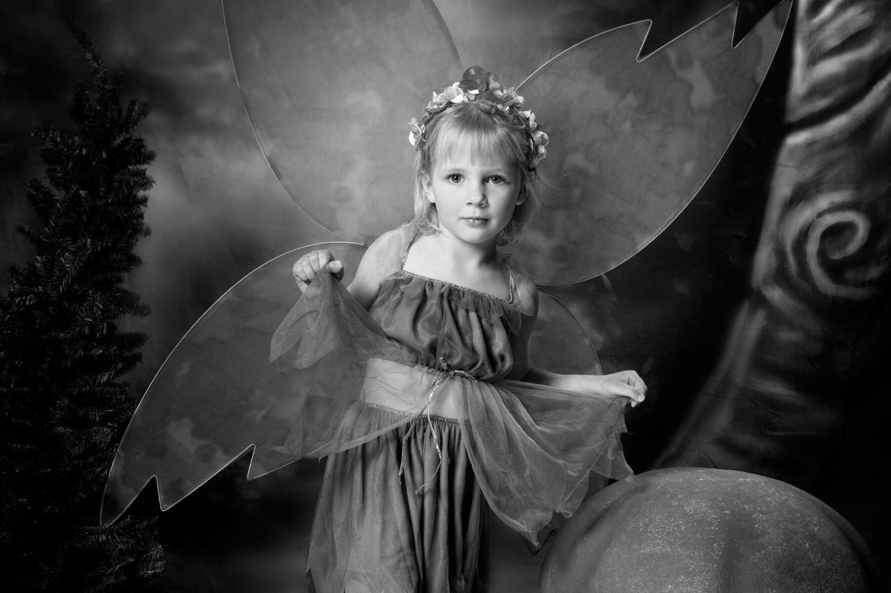 Fairies look like