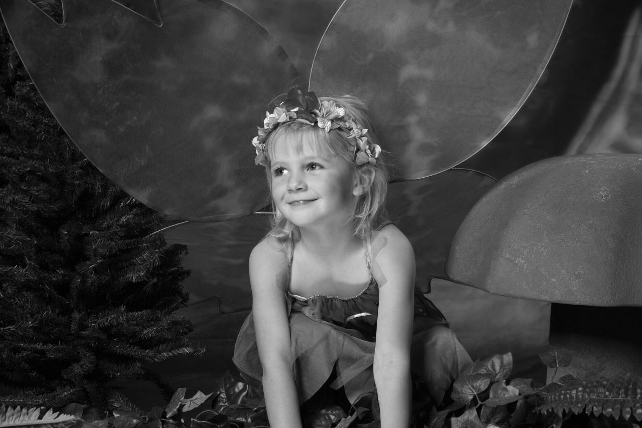 Fairies look