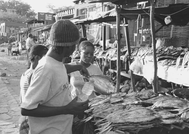 Fischmarkt in Nouadhibou
