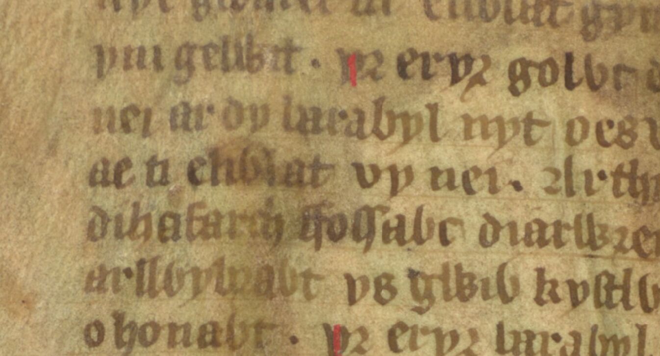 Eliwlod, Neffe von König Artus