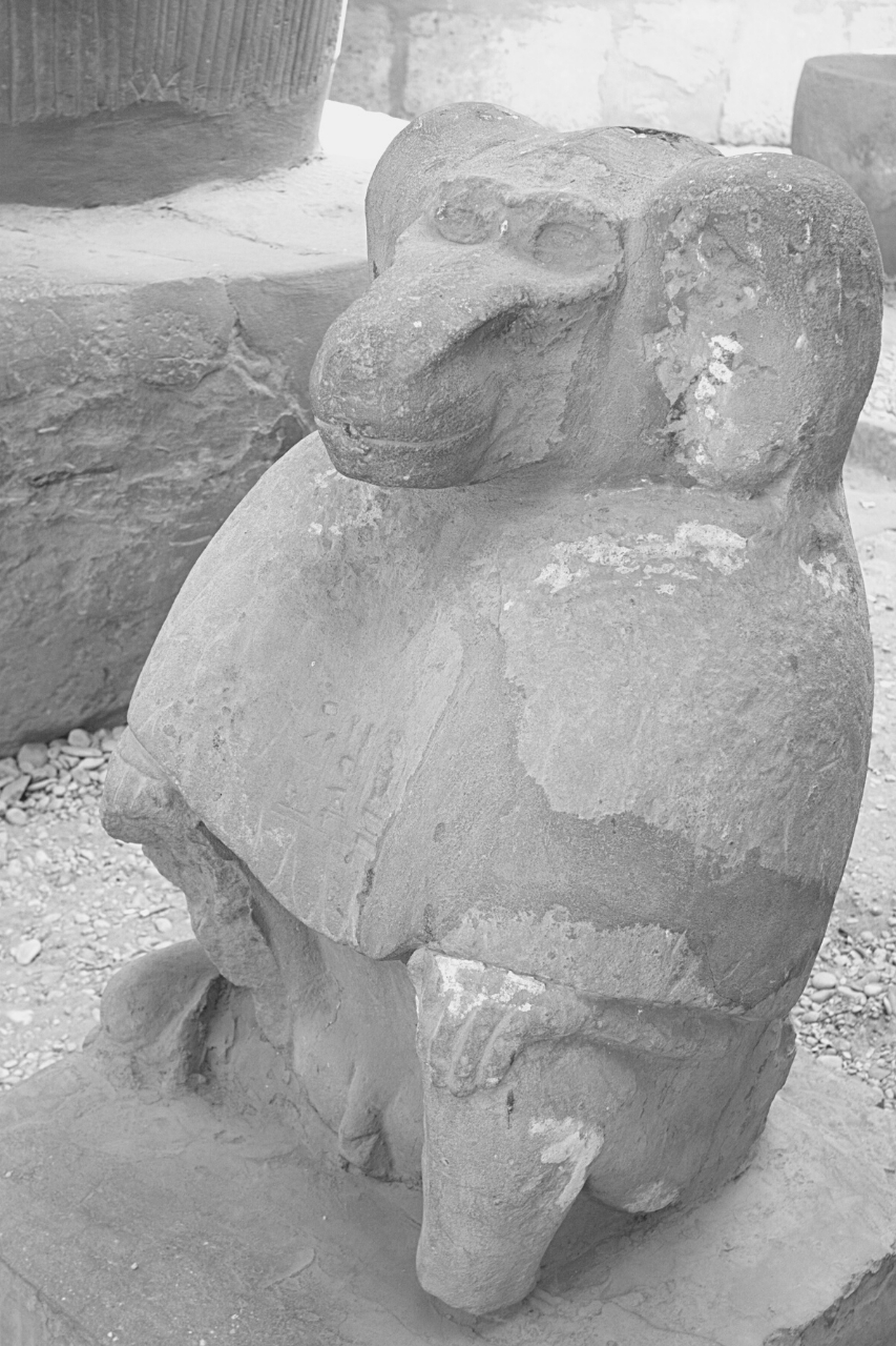 Affenstatue