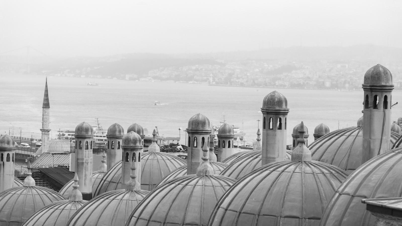 Ottoman domes view