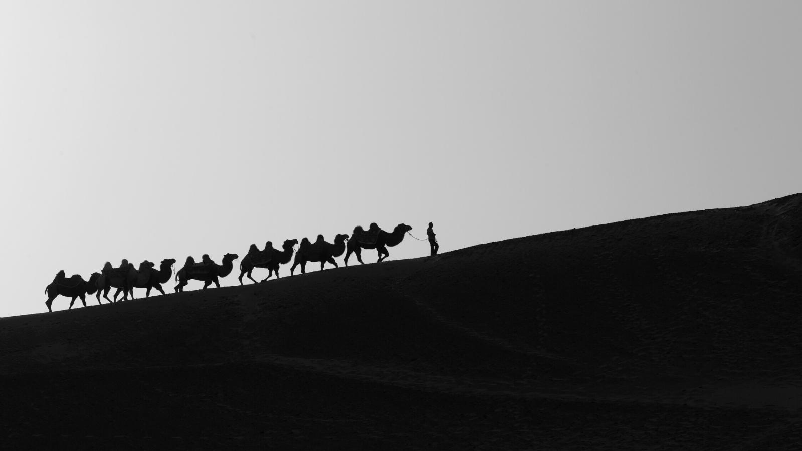 Silk road