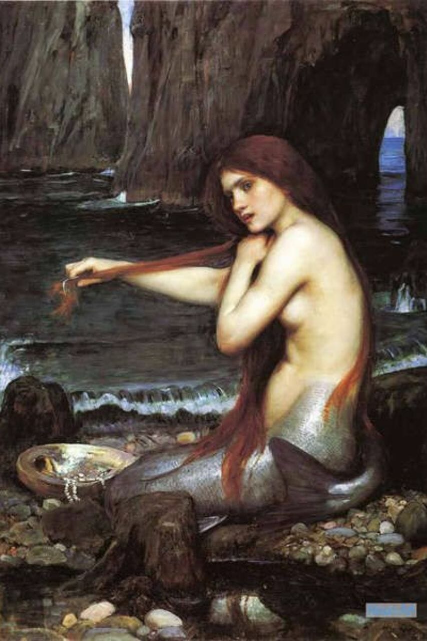 Sirene vs. Meerjungfrau - was sind die Unterschiede