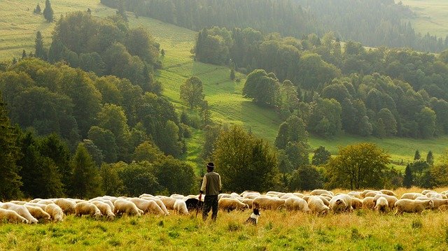 Talysh farmer