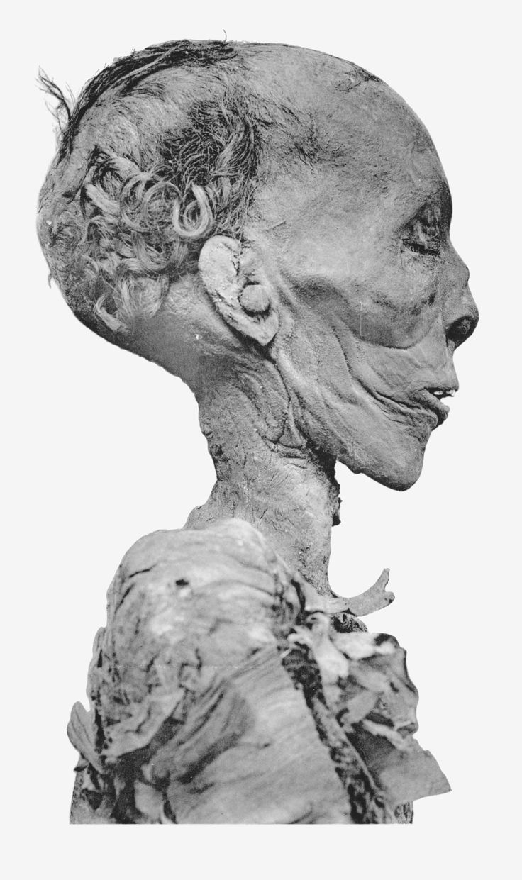 Tuthmosis II