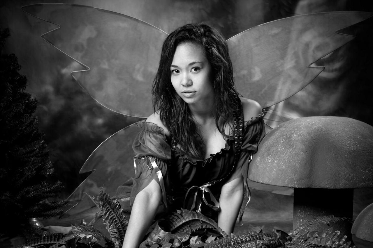 What are fairies